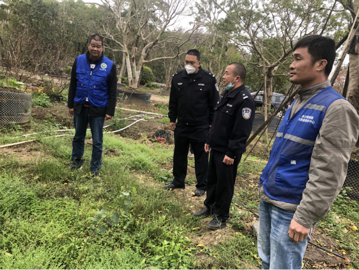阜沙鎮禁毒信息〔2023〕第40期--阜沙鎮禁毒辦聯合公安分局開展禁種鏟毒踏查專項行動（2023.2