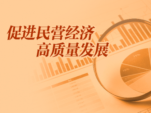 專題丨促進民營經濟高質量發展